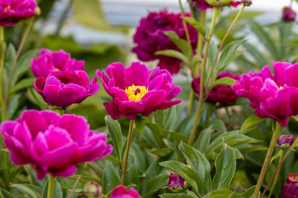 Sustainable Home Solutions You Need to Know About