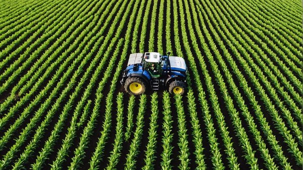 Boosting Crop Yield Predictions in the UK: The Power of AI-Driven Soil Analysis Tools
